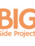 Big Side Project