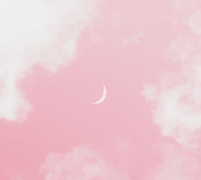 ⋆ ˚｡⋆୨୧˚Madison Elisé ˚୨୧⋆｡˚ ⋆