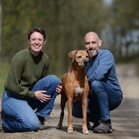 Hidaya Rhodesian Ridgeback