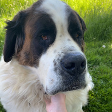 Gretta