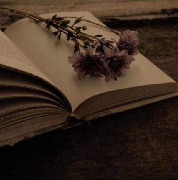 Goodreads profile picture for @norway