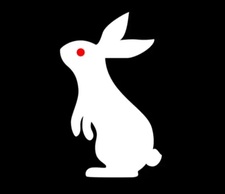 Whiterabbit