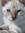 Tilde