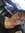 Disha