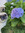 member photo member photo