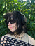 Dita