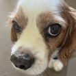 Maddy