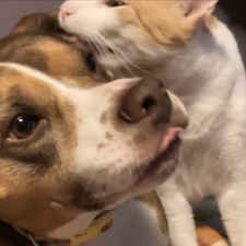 Addison &#x1f41d;&#x1f33b;&#x1f40c;