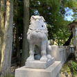 Tomo