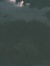 107158731