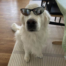 Nicklas Nygaard Henriksen