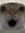 Wilbert