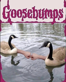 A H