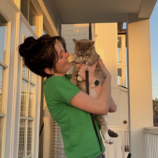 Eloise