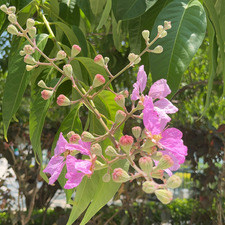 danielareads_ daniela bahr