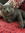 Kiki W | 1 comments
