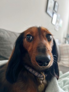 Abby