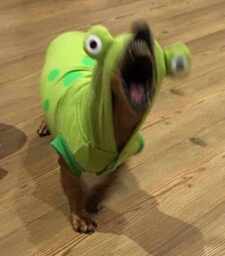 k