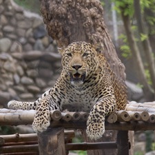 Amitoj Singh (UDistructor)