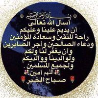 Amr Salam