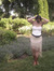 Gracemarie