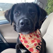 Antonietta Witkowski 