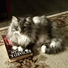 &#x1f408;‍⬛Erika&#x1f407;