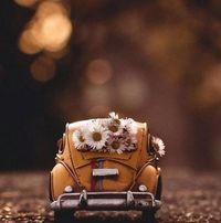 تسنيم جاويش