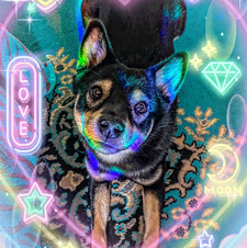 Wildstar &#x1f308;&#x1f49c;✨