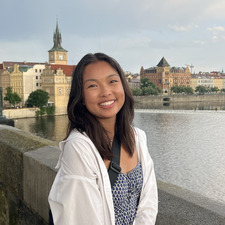 Vy Nguyen