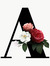 Andreea...