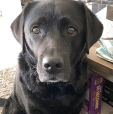 Liv (warner's version) :)