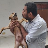 Shreyas Ranjan