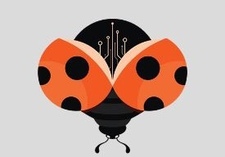 هتون الأحمدي