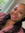 Sherae Campbell