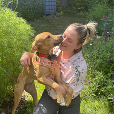 Greta Hysjulien Jeffrey