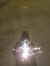 ingridra_