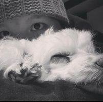 Charlie Vessey-Macpherson