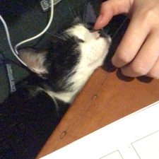 Constanza Doren ilabaca