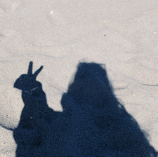 Miranda ⋆˙⟡♡₊˚⊹.   .⊹˚₊♡⟡˙⋆