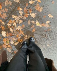 Anielka‧₊˚✩彡