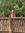 Marieke