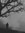Iker Cadmus