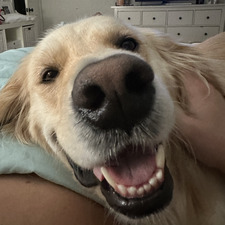 Sydney Wallace