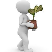 Χρυσουλα Ζαφειρακη