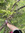 serene | 4 comments