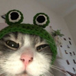 :3