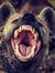 Hyena