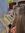 Siham Siar (sihamhm92) | 4 comments