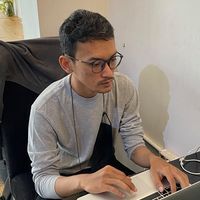 Wahyu N. Cahyo